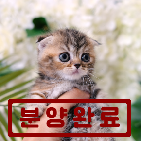 먼치킨