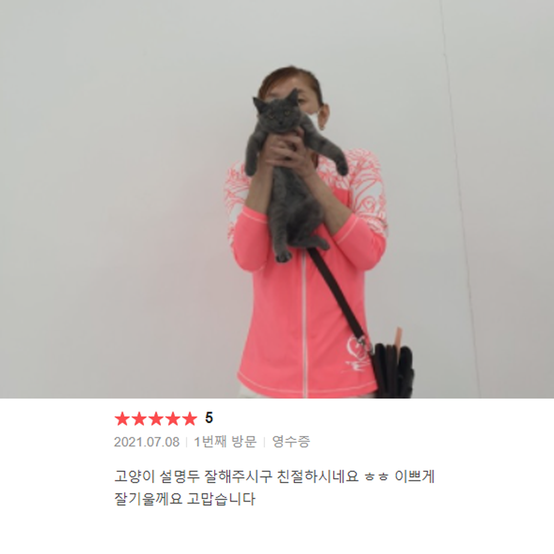 분양후기