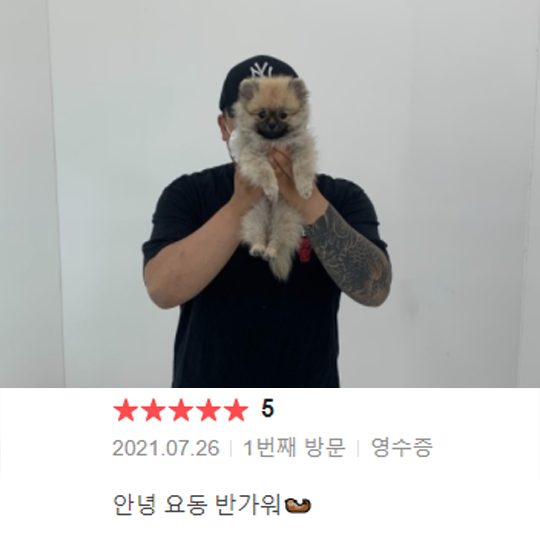 분양후기