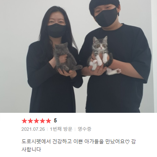 분양후기